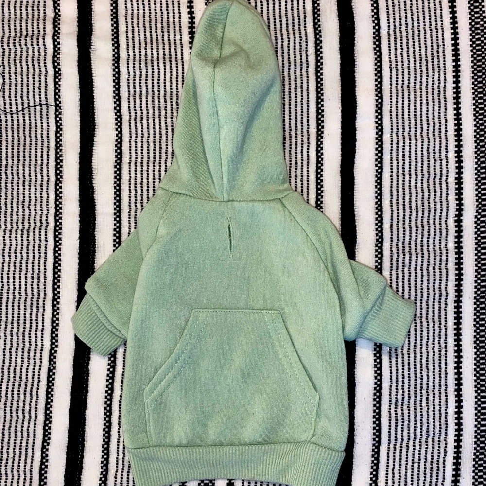 Dog Hoodie Mint Green